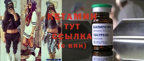 гидра Няндома