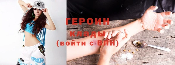 гидра Няндома
