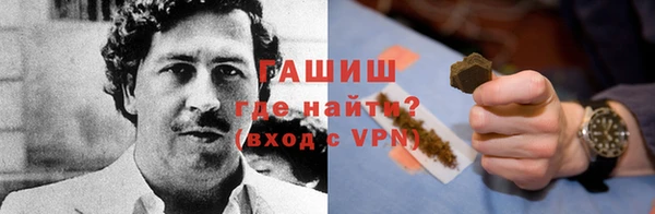 гидра Няндома