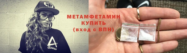 гидра Няндома