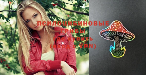 гидра Няндома