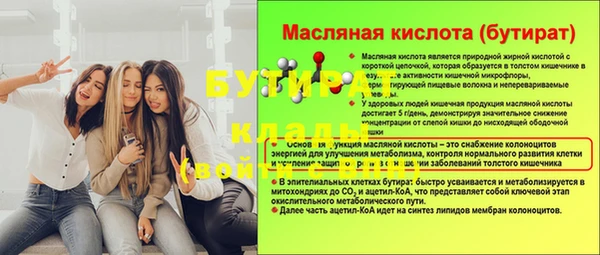 гидра Няндома