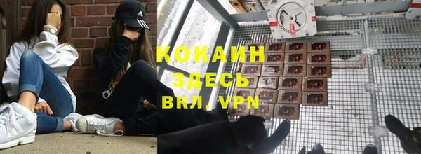 гидра Няндома