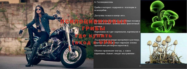 mdma Нязепетровск