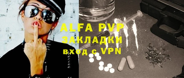 гидра Няндома