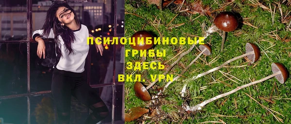 спайс Болохово