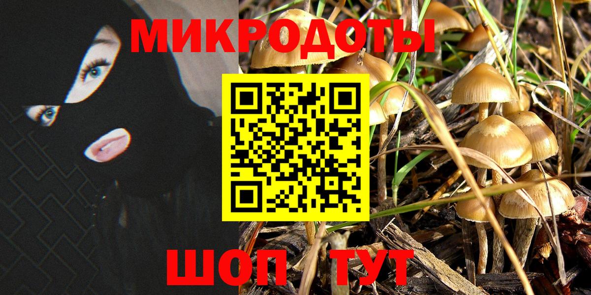 Лянтор  Галлюциногенные грибы Cubensis  Вход с VPN 