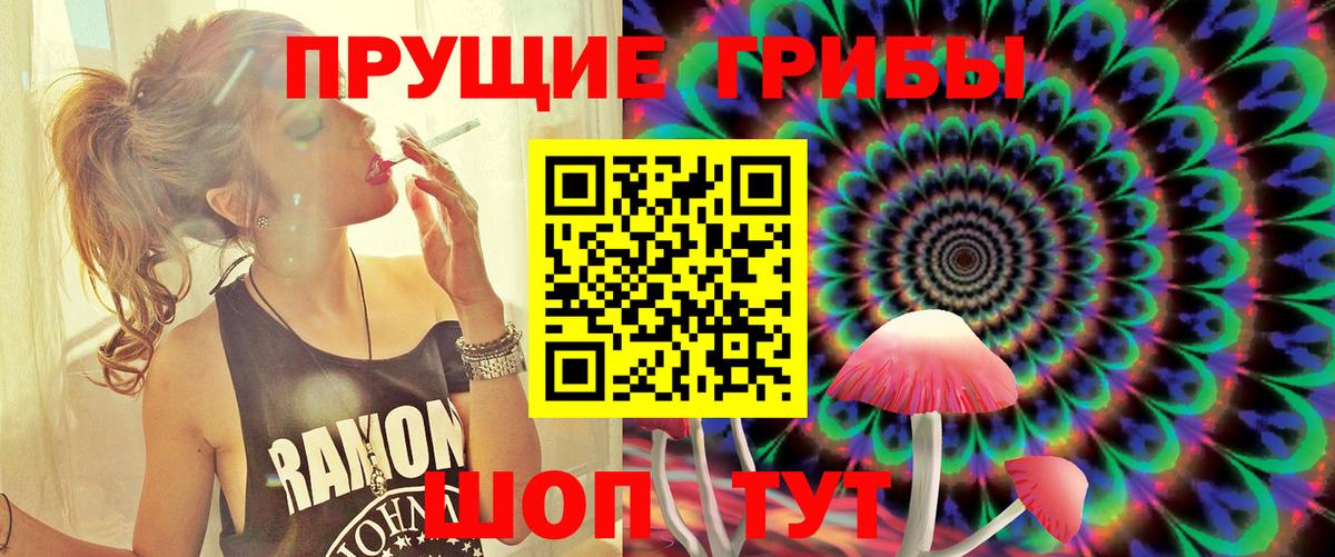 Галлюциногенные грибы Psilocybe  Лянтор 
