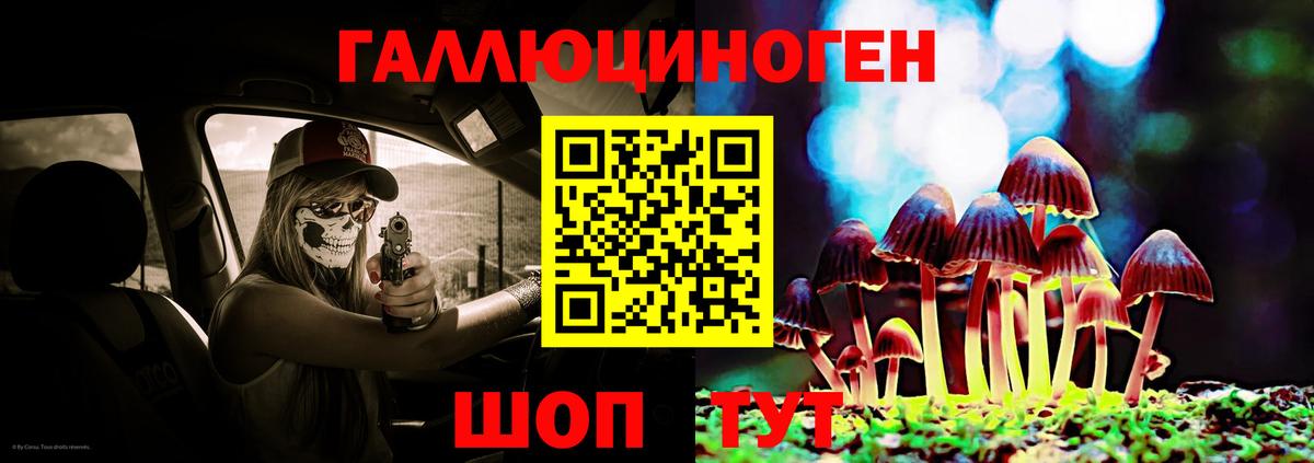 Псилоцибиновые грибы Psilocybine cubensis Лянтор